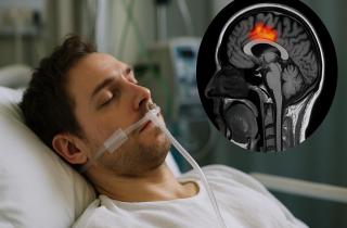 Опыты с OrganEx показали обратимость клеточной гибели — журнал Nature