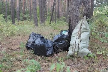 Два жителя Удмуртии убрали в лесу мусор