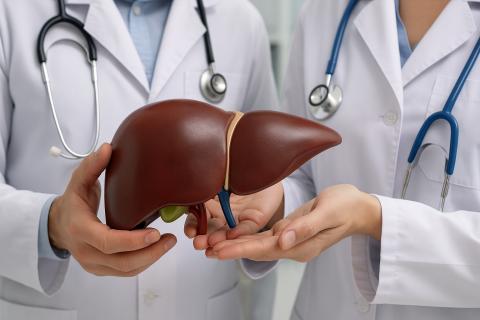 Найден метод временного омоложения иммунной системы — Nature