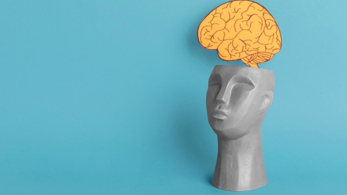 Мозг человека