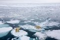 Потепление вызвало резкие и противоположные изменения в связанных морских сообществах Потепление вызвало резкие и противоположные изменения в связанных морских сообществах
