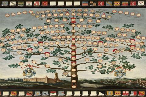 Одна фамилия — целая история: как вернуть утерянную родословную