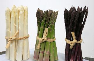 Семена аспарагуса замачивают на несколько суток — Идеальный огород