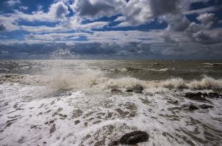 Исследование подтвердило природное происхождение углеводородов в Азове