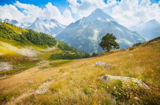 Воздух, который лечит мысли: почему горы действуют лучше психотерапии