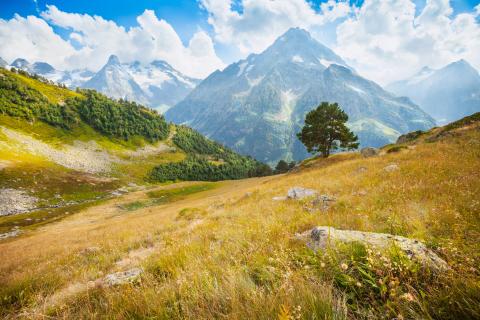 Воздух, который лечит мысли: почему горы действуют лучше психотерапии