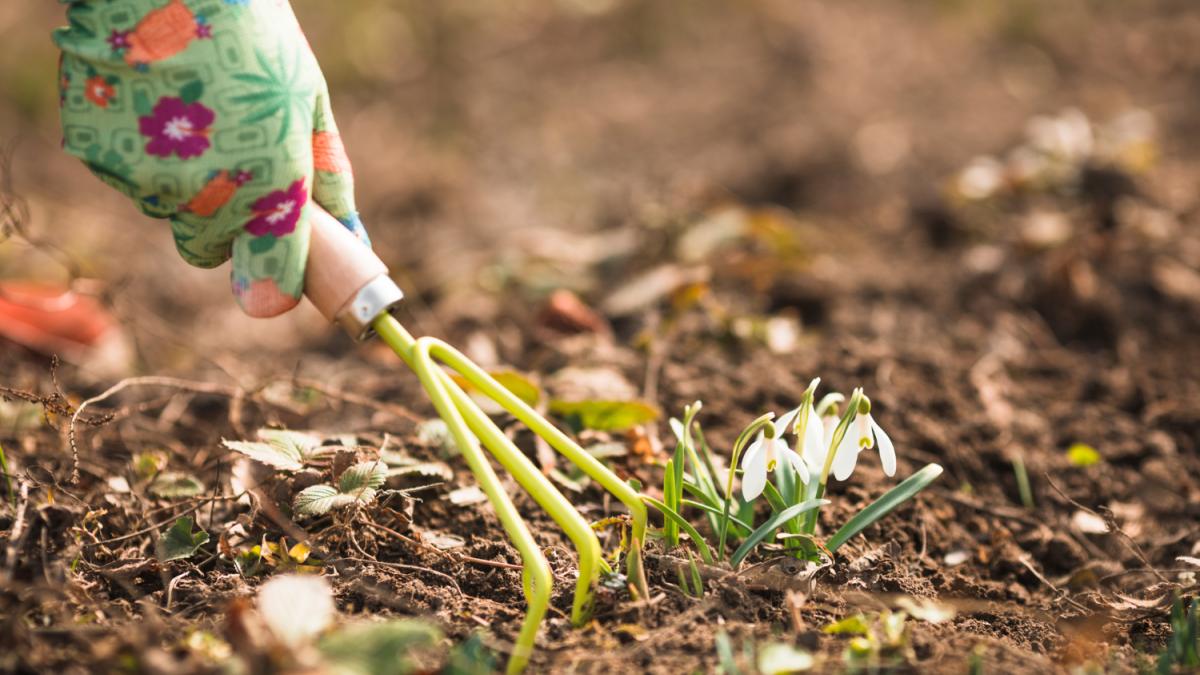 Рыхление земли