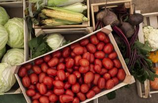 В Тюмень не допустили ввоз почти 75 тонн подкарантинной продукции — Россельхознадзор