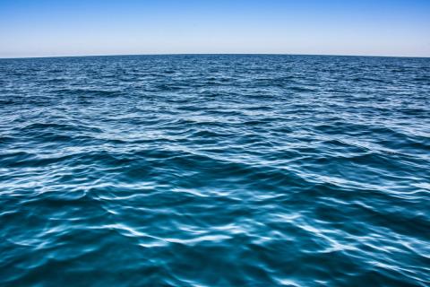 Летний уход становится проще, если подглядеть один секрет у океана