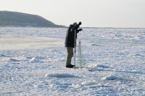 Рыбу зимой прикармливают сухим молоком и альбумином