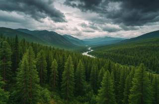 Южный Урал на распутье: суд снял статус лесных земель — и открыл ящик Пандоры