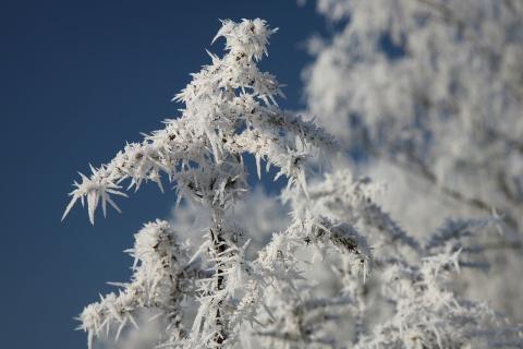 В Хабаровском крае ожидаются морозы до −40 градусов