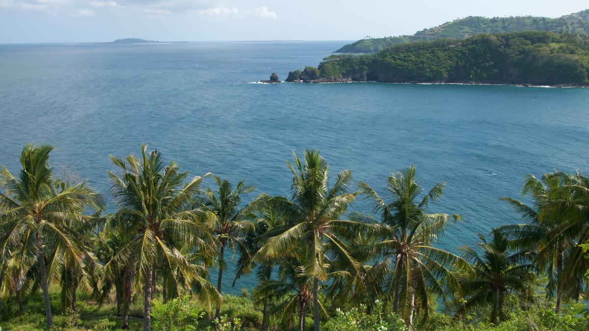 Lombok, Bay, Tropical palm trees, Indonesia
