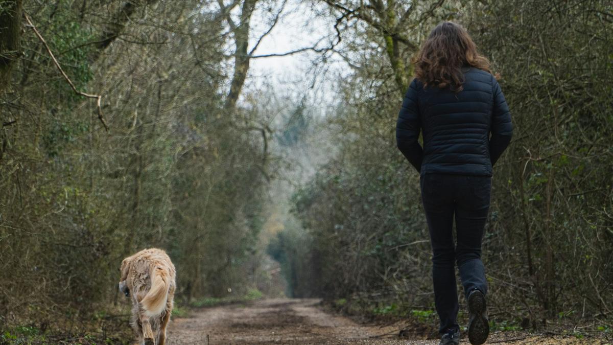 Прогулка с собакой