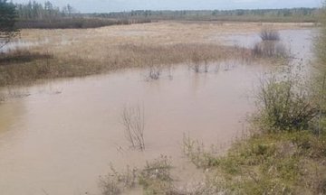 Амурчане напуганы возможной экологической катастрофой в Зейском районе