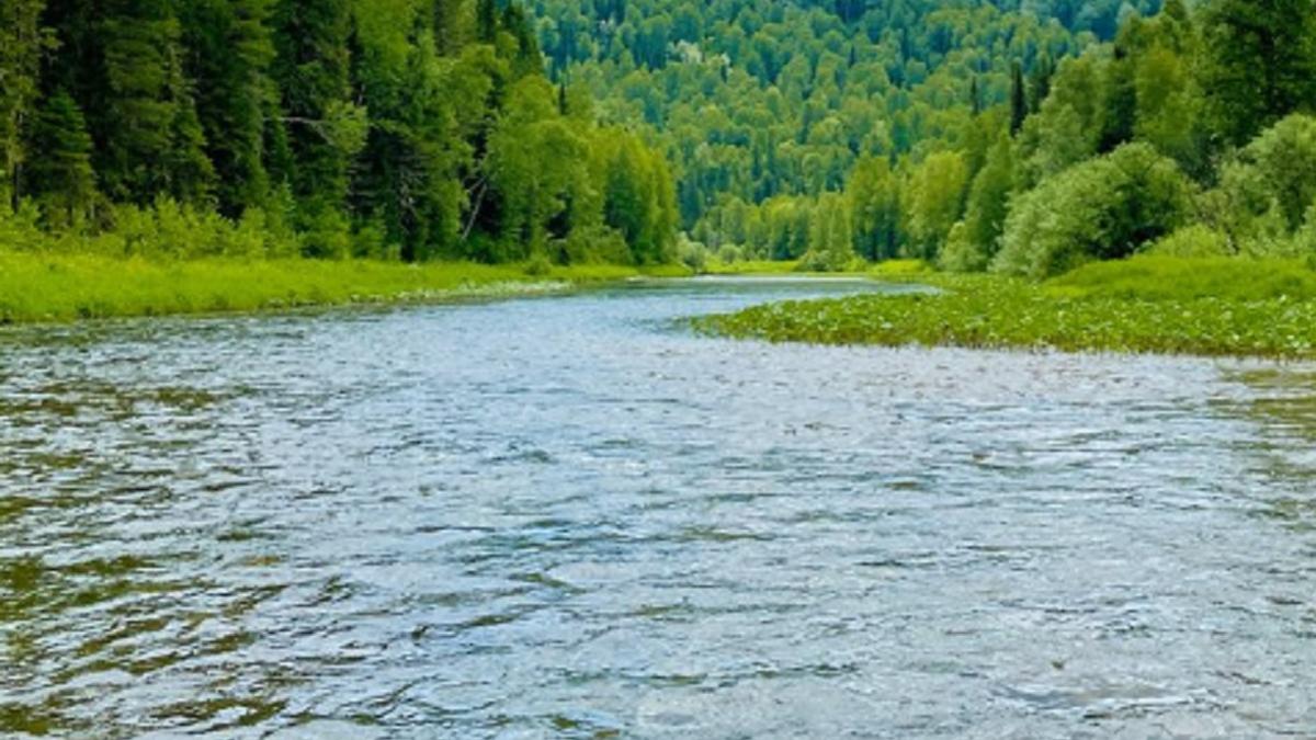 река