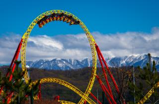 В Краснодарском крае выявили умеренную готовность к международной конкуренции — эксперты туротрасли