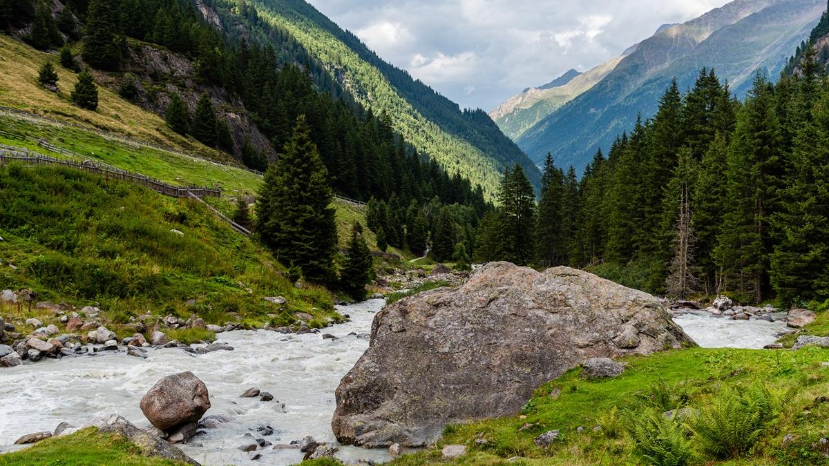 природа горы лес