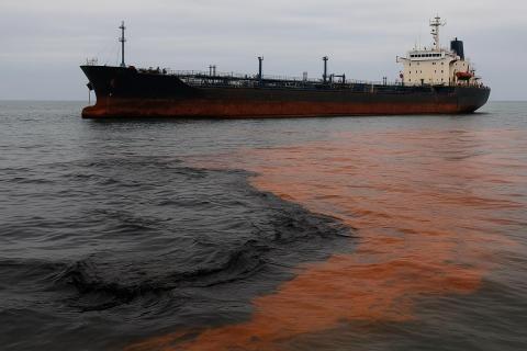 В Мурманске введён режим повышенной готовности из-за разлива нефтепродуктов в Кольском заливе