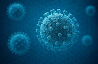 Учёные обнаружили у пациентов с волчанкой 25-кратный рост заражённых В-клеток Стэнфордский университет