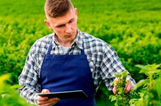 В 2025 году агрономы стали наиболее востребованными в АПК — 