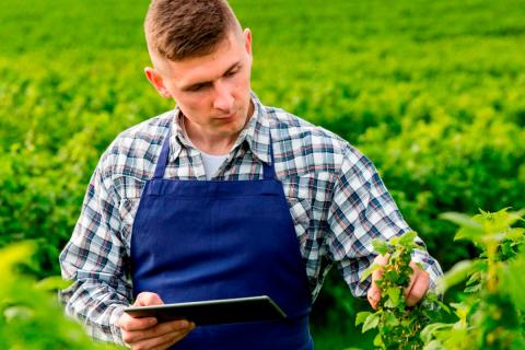 В 2025 году агрономы стали наиболее востребованными в АПК — 