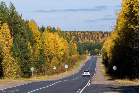 Семейный фестиваль 