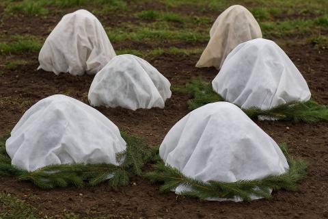 Ледяная корка снижает воздухообмен корней под снегом — 7dach