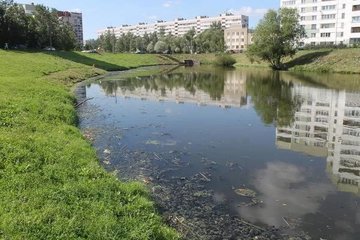 Эксперты заявили об улучшении качества воды в реке Новой