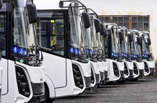 В Карелию поступили 19 новых автобусов для пассажирских перевозок — Правительство Карелии