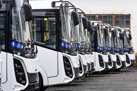 В Карелию поступили 19 новых автобусов для пассажирских перевозок — Правительство Карелии