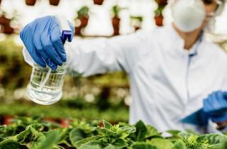 Спрос на агроспециалистов вырос в Тюменской области — аналитики 