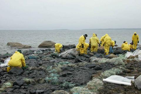 очистка пляжа от разлива нефти