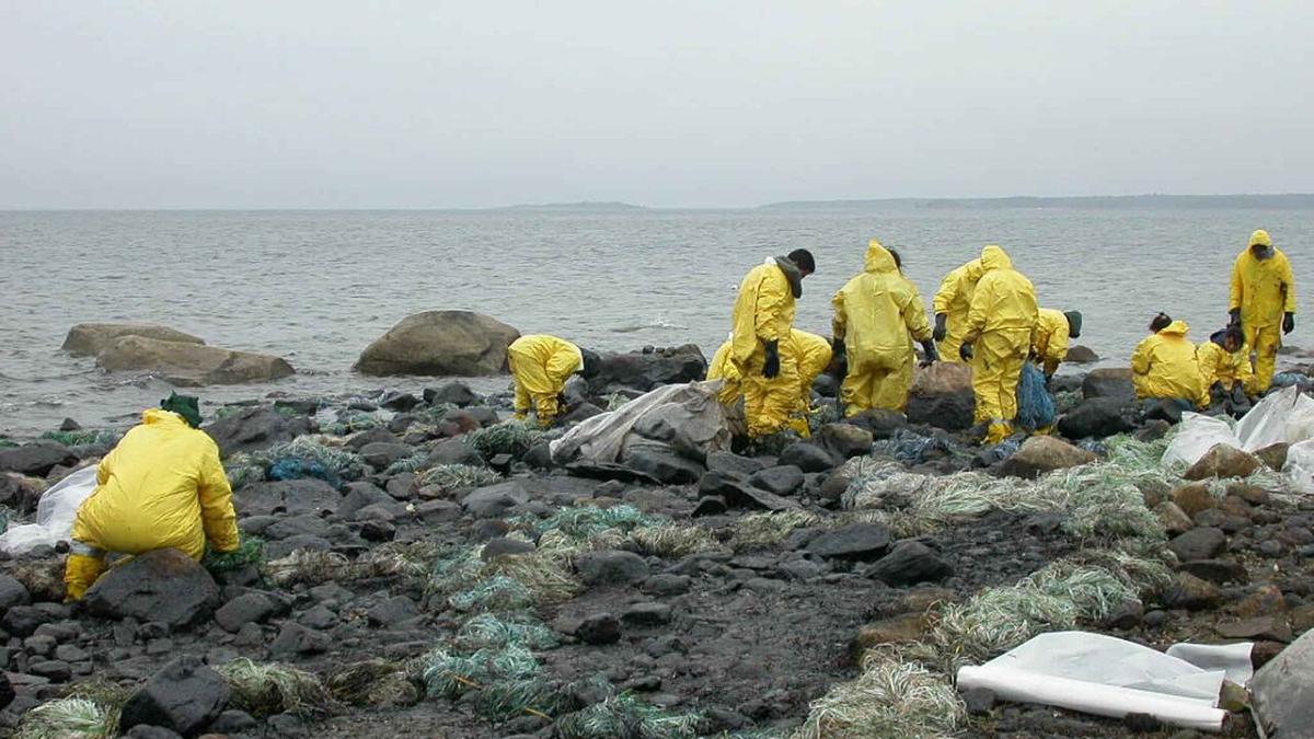 очистка пляжа от разлива нефти