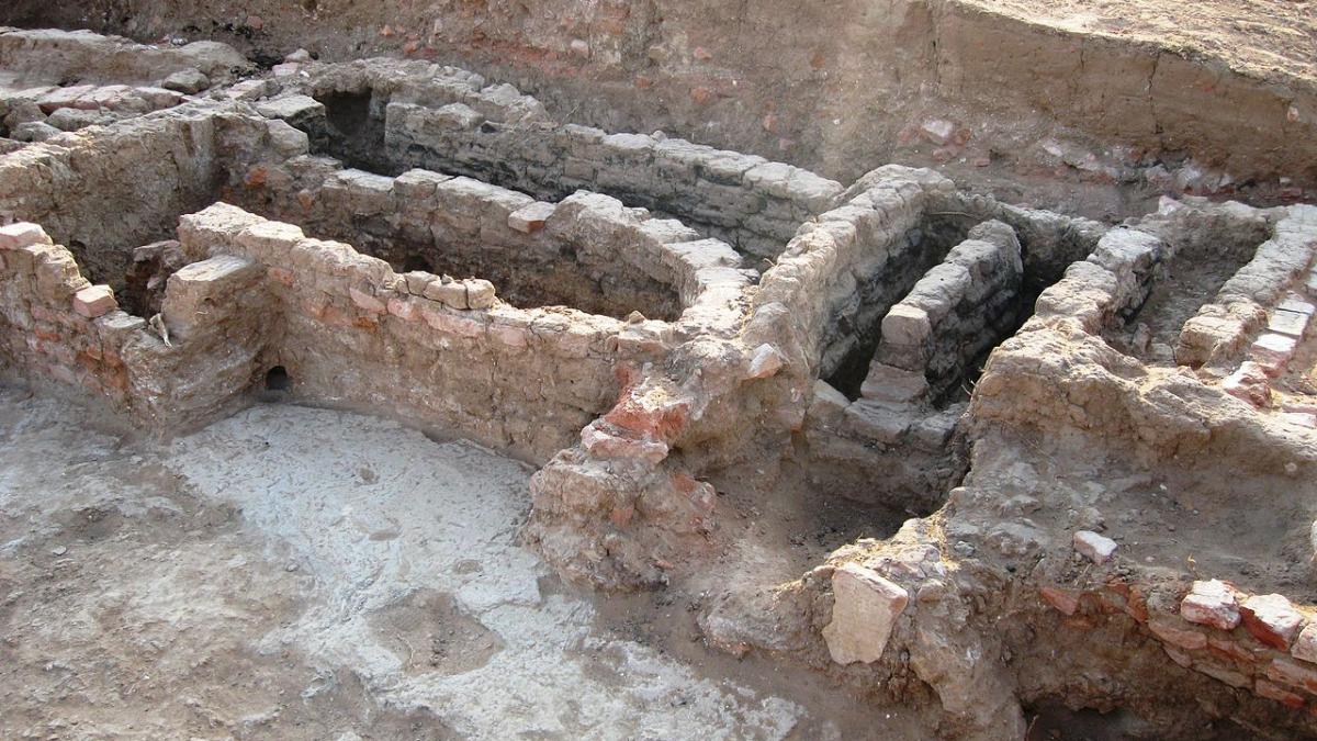 археологические раскопки археологические раскопки