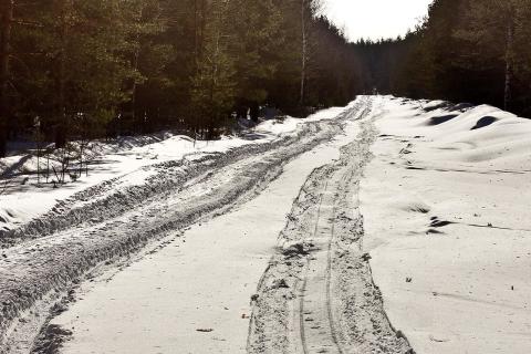 УЛК укрепила зимние трассы для транспортировки древесины — пресс-служба