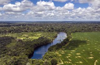 Эксперты зафиксировали снижение устойчивости Амазонии к климатическим изменениям