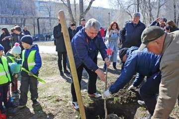 Власти Ульяновска озеленят город