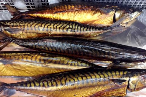 На Камчатке рыбколхоз оштрафовали на 150 тысяч рублей — КамИнформ