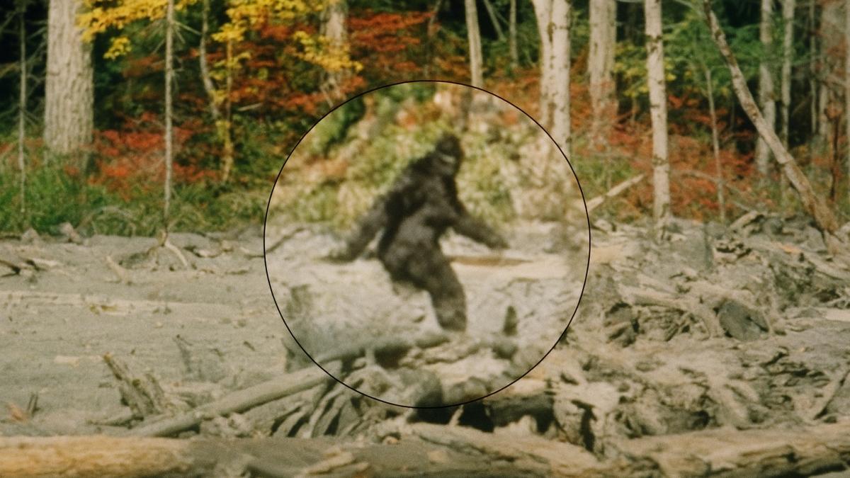 Бигфут в лесу (ИИ)