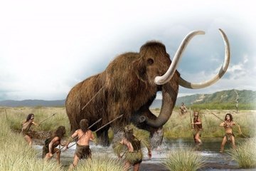 Еще одна версия вымирания неандертальцев выдвинута учеными из Франции