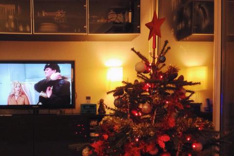 Жители ХМАО сдают елки, чтобы помочь приютам для животных