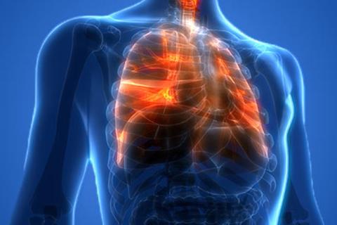 Невидимое пламя в лёгких: новое исследование объяснило, как организм сам готовит почву для рака