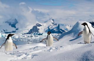 Тёплый воздух приносит дождь на высоте 2–3 км в Антарктиде — Городецкая, Университет Порту