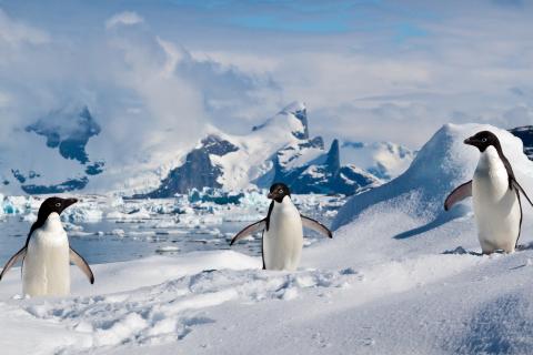Тёплый воздух приносит дождь на высоте 2–3 км в Антарктиде — Городецкая, Университет Порту