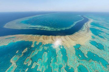 Третья часть Большого Барьерного рифа погибла в 2019 году