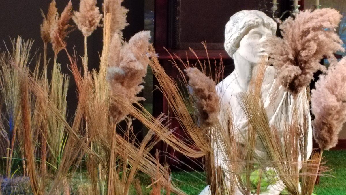 Сцена из спектакля Малого театра Мой ласковый зверь