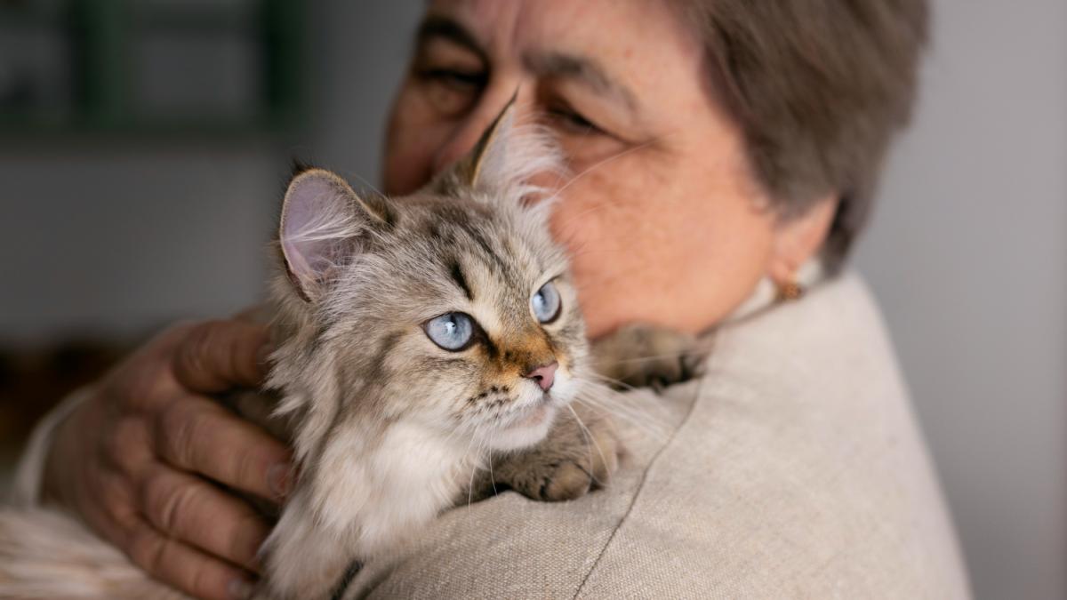 Кошка с пенсинером