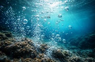 Ничейные воды обрели хозяев: международный закон берёт под контроль половину планеты