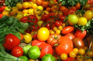 Тонкая нарезка томатов позволила сформировать устойчивые розочки — кулинары